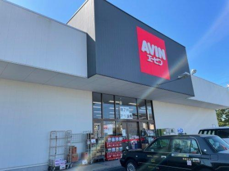 ���ӊ� �y�h���b�O�X�g�A�z�G�[�r�����c���a�c�X�F1805m