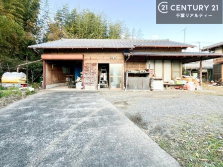 ���̑����n �u���̕����C�ɂȂ�I�v�u�������Ăǂ�ȏ��H�v�u�����Əڂ����m�肽���I�v�Ǝv������A���C�y�ɂ����k���������B