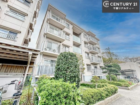 ���̑����n �u���̕����C�ɂȂ�I�v�u�������Ăǂ�ȏ��v�u�����Əڂ����m�肽���I�v�Ǝv������A���C�y�ɂ����k���������B