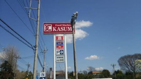 ���ӊ� �y�X�[�p�[�z�J�X�~���X�X�F2197m