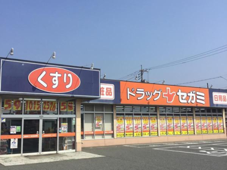 ���ӊ� �y�h���b�O�X�g�A�z�h���b�O�Z�K�~���X�X�F795m