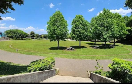 ���ӊ� �y�����z���ыߗ׌����F2116m