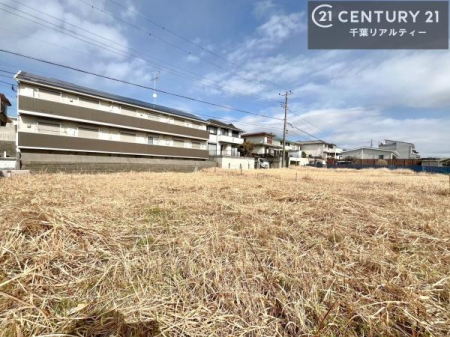 ���n�y�n�ʐ^ ���͂ɍ����������Ȃ��̂ŗz������悭���K�ȕ�炵������閣�͓I�Ȋ��ł��I