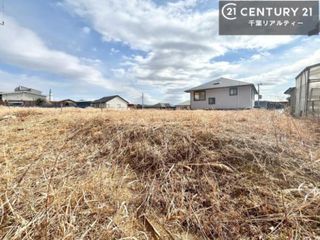 ���n�y�n�ʐ^ ���͂ɍ����������Ȃ��̂ŗz������悭���K�ȕ�炵������閣�͓I�Ȋ��ł��I