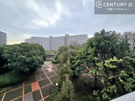 �Z�˂���̒��]�ʐ^ �΂��f���钭�]�Ŗ�����܂��ˁI