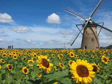 ���ӊ� �y�����z���q�ӂ邳�ƍL��F1470m