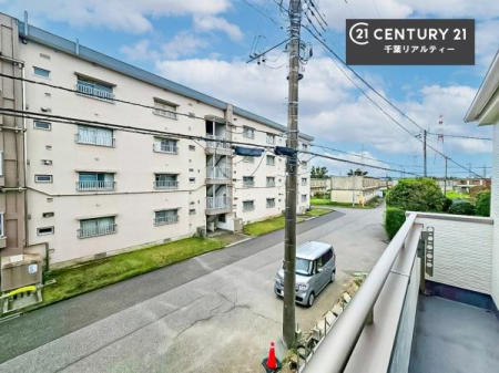 �Z�˂���̒��]�ʐ^ ���]�ǍD�ȃo���R�j�[�B���V�C�̂������ɂ̓o���R�j�[�ւłă��t���b�V������̂������ł��ˁI