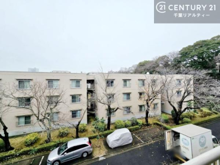 �Z�˂���̒��]�ʐ^ ���]�ǍD�ȃo���R�j�[�B���V�C�̂������ɂ̓o���R�j�[�ւłă��t���b�V������̂������ł��ˁI