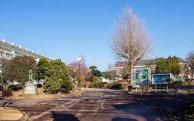 ���ӊ� �y���w�Z�z���c�s���O���ˏ��w�Z�F1000m