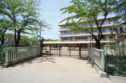 ���ӊ� �y�c�t���E�ۈ牀�z�K�u��s������c�t���F1117m