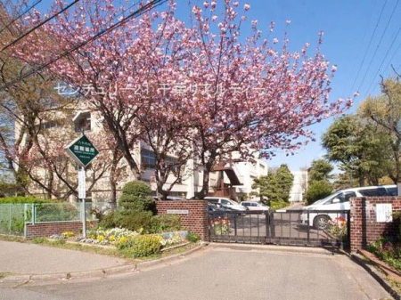 ���ӊ� �y���w�Z�z�����s�������Ï��w�Z�F700m