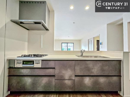 �L�b�`�� ��Ƃ����₷���V�X�e���L�b�`���ł��I���[����������t���Ă���̂ŁA�����X�y�[�X�ɕ���u���Ȃ��čςނ̂ŁA�L�X�g���āA���K�ɍ�Ƃ��ł��܂��I