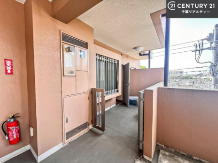 ���̑� �u���̕����C�ɂȂ�I�v�u�������Ăǂ�ȏ��H�v�u�����Əڂ����m�肽���I�v�Ǝv������A���C�y�ɂ����k���������B