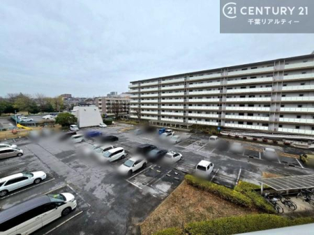 �Z�˂���̒��]�ʐ^ ���]�ǍD�ȃo���R�j�[�B���V�C�̂������ɂ̓o���R�j�[�ւłă��t���b�V������̂������ł��ˁI