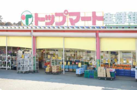 ���ӊ� �y�X�[�p�[�z�g�b�v�}�[�g�l�X���X�F855m