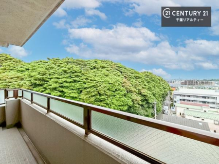 �Z�˂���̒��]�ʐ^ ���ꂽ���ɂ͐�������n����J���I�Ȏ��Ԃ��y���߂܂��B�C�����̗ǂ������ʂ蔲����X���݂ł��I