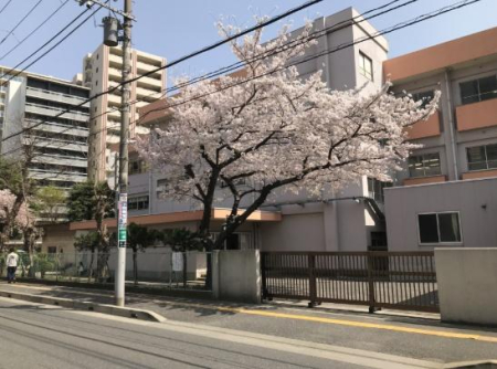 ���ӊ� �y���w�Z�z��t�s���V�h���w�Z�F1100m