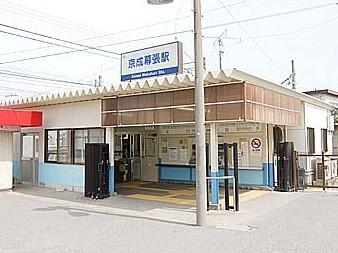 ���ӊ� �y�w�z���������w(���� ��t��)�F1306m