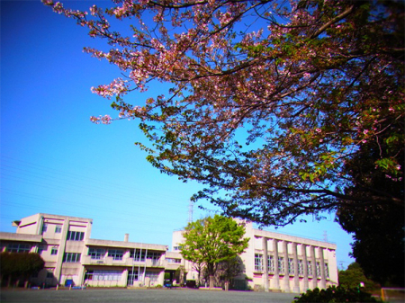 ���ӊ� �y���w�Z�z��t�s����̑䏬�w�Z�F600m