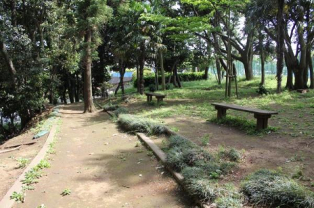 ���ӊ� �y�����z����ؗΒn�F173m