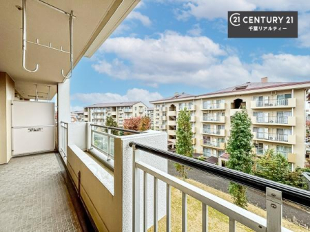 �Z�˂���̒��]�ʐ^ ���]�ǍD�ȃo���R�j�[�B���V�C�̂������ɂ̓o���R�j�[�ւłă��t���b�V������̂������ł��ˁI