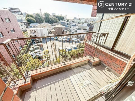 �Z�˂���̒��]�ʐ^ ���]�ǍD�ȃo���R�j�[�B���V�C�̂������ɂ̓o���R�j�[�ւłă��t���b�V������̂������ł��ˁI