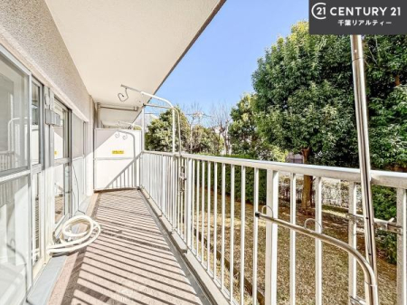 �Z�˂���̒��]�ʐ^ ���]�ǍD�ȃo���R�j�[�B���V�C�̂������ɂ̓o���R�j�[�ւłă��t���b�V������̂������ł��ˁI