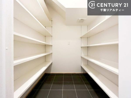 ���� �V���[�Y�C���N���[�N�t���ł��I�V���[�Y�����łȂ��x�r�[�J�[��܂��ݎ��]�ԁA�A�E�g�h�A�p�i���X�b�L���ƕЕt�����܂��I