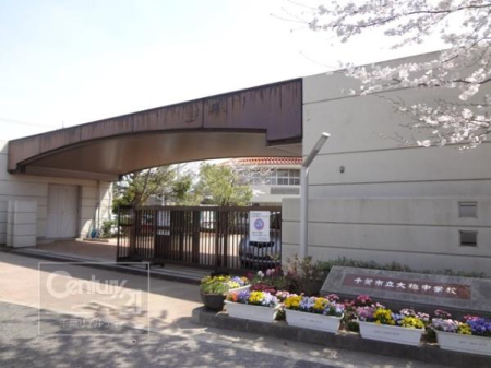 ���ӊ� �y���w�Z�z��t�s����Œ��w�Z�F357m