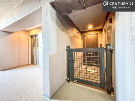 ���̑� �u���̕����C�ɂȂ�I�v�u�������Ăǂ�ȏ��H�v�u�����Əڂ����m�肽���I�v�Ǝv������A���C�y�ɂ����k���������B