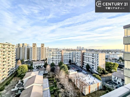 �Z�˂���̒��]�ʐ^ ���]�ǍD�ȃo���R�j�[�B���V�C�̂������ɂ̓o���R�j�[�ւłă��t���b�V������̂������ł��ˁI