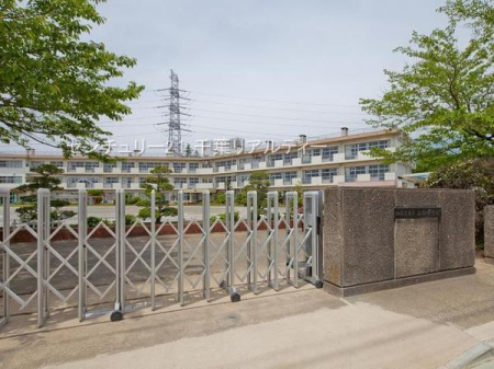 ���ӊ� �y���w�Z�z�l�X���s���R�����w�Z�F735m