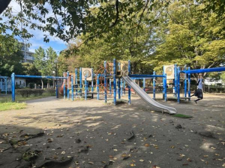 ���ӊ� �y�����z���C�ʌ����F30m