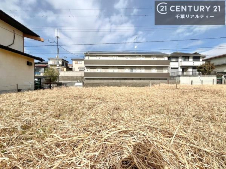 ���n�y�n�ʐ^ ������������Z��X�A���͂ɂ͍����������Ȃ��A�󂪍L���J����������A
�z�����傫���Ղ��邱�Ƃ�����܂���B�C�����̗ǂ������ʂ蔲����X���݂ł�
