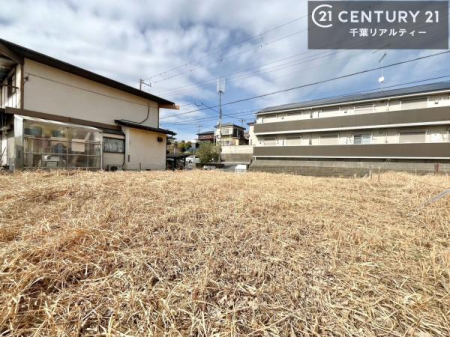 ���n�y�n�ʐ^ ���͂ɍ����������Ȃ��̂ŗz������悭���K�ȕ�炵������閣�͓I�Ȋ��ł��I