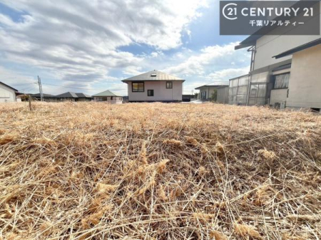 ���n�y�n�ʐ^ ������������Z��X�A���͂ɂ͍����������Ȃ��A�󂪍L���J����������A
�z�����傫���Ղ��邱�Ƃ�����܂���B�C�����̗ǂ������ʂ蔲����X���݂ł�
