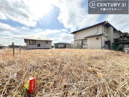 ���n�y�n�ʐ^ ���͂ɍ����������Ȃ��̂ŗz������悭���K�ȕ�炵������閣�͓I�Ȋ��ł��I