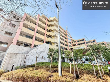 ���̑����n �u���̕����C�ɂȂ�I�v�u�������Ăǂ�ȏ��H�v�u�����Əڂ����m�肽���I�v�Ǝv������A���C�y�ɂ����k���������B