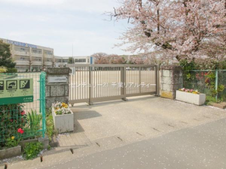 ���ӊ� �y�w�z������a�c�w(���� �{��)�F2240m