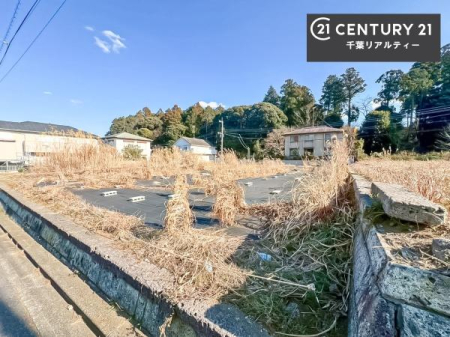 ���n�y�n�ʐ^ ���z�����Ȃ��I�L�X�����~�n�̓y�n�I����ɂ��J�������ӂ��Z���I������Ռ������߂������̐�i�����]�ł��܂��I