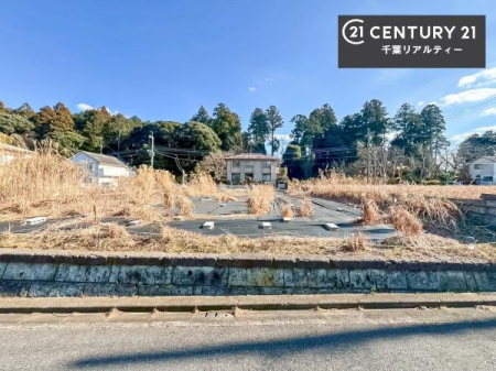 ���̑� �u���̕����C�ɂȂ�I�v�u�������Ăǂ�ȏ��H�v�u�����Əڂ����m�肽���I�v�Ǝv������A���C�y�ɂ����k���������B