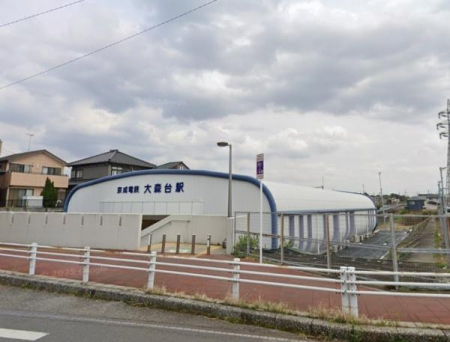 ���ӊ� �y�w�z��X��w(�����d�S �猴��)�F700m