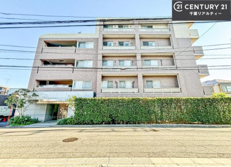 ���̑����n �u���̕����C�ɂȂ�I�v�u�������Ăǂ�ȏ��H�v�u�����Əڂ����m�肽���I�v�Ǝv������A���C�y�ɂ����k���������B