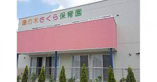 ���ӊ� �y�c�t���E�ۈ牀�z�z�̖؂�����ۈ牀�F474m