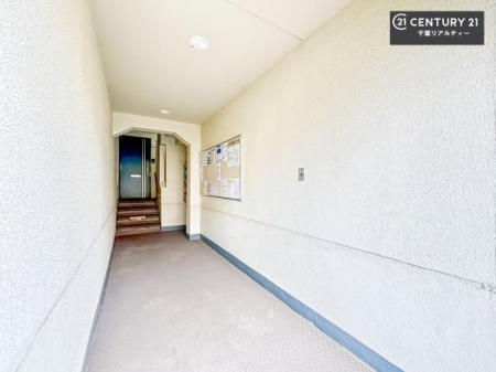 ���̑����p�� �u���̕����C�ɂȂ�I�v�u�������Ăǂ�ȏ��H�v�u�����Əڂ����m�肽���I�v�Ǝv������A���C�y�ɂ����k���������B