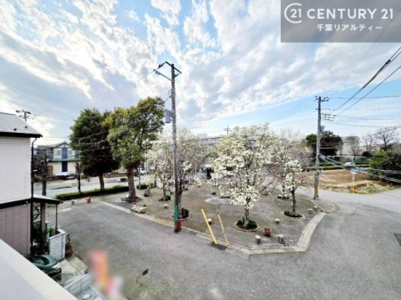 �Z�˂���̒��]�ʐ^ ���]�ǍD�ȃo���R�j�[�B���V�C�̂������ɂ̓o���R�j�[�ւłă��t���b�V������̂������ł��ˁI