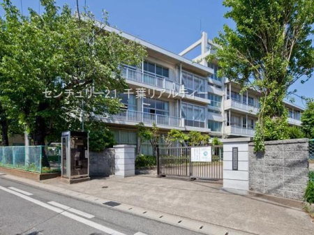 ���ӊ� �y���w�Z�z��t�s�����q���w�Z�F800m