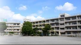 ���ӊ� �y���w�Z�z�s��s���V�l���w�Z�F387m