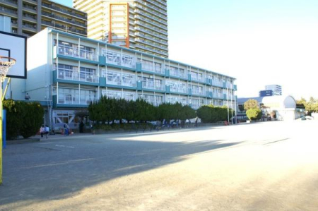 ���ӊ� �y���w�Z�z��t�s�����F��O���w�Z�F353m