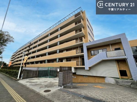 ���̑����n �u���̕����C�ɂȂ�I�v�u�������Ăǂ�ȏ��H�v�u�����Əڂ����m�肽���I�v�Ǝv������A���C�y�ɂ����k���������B